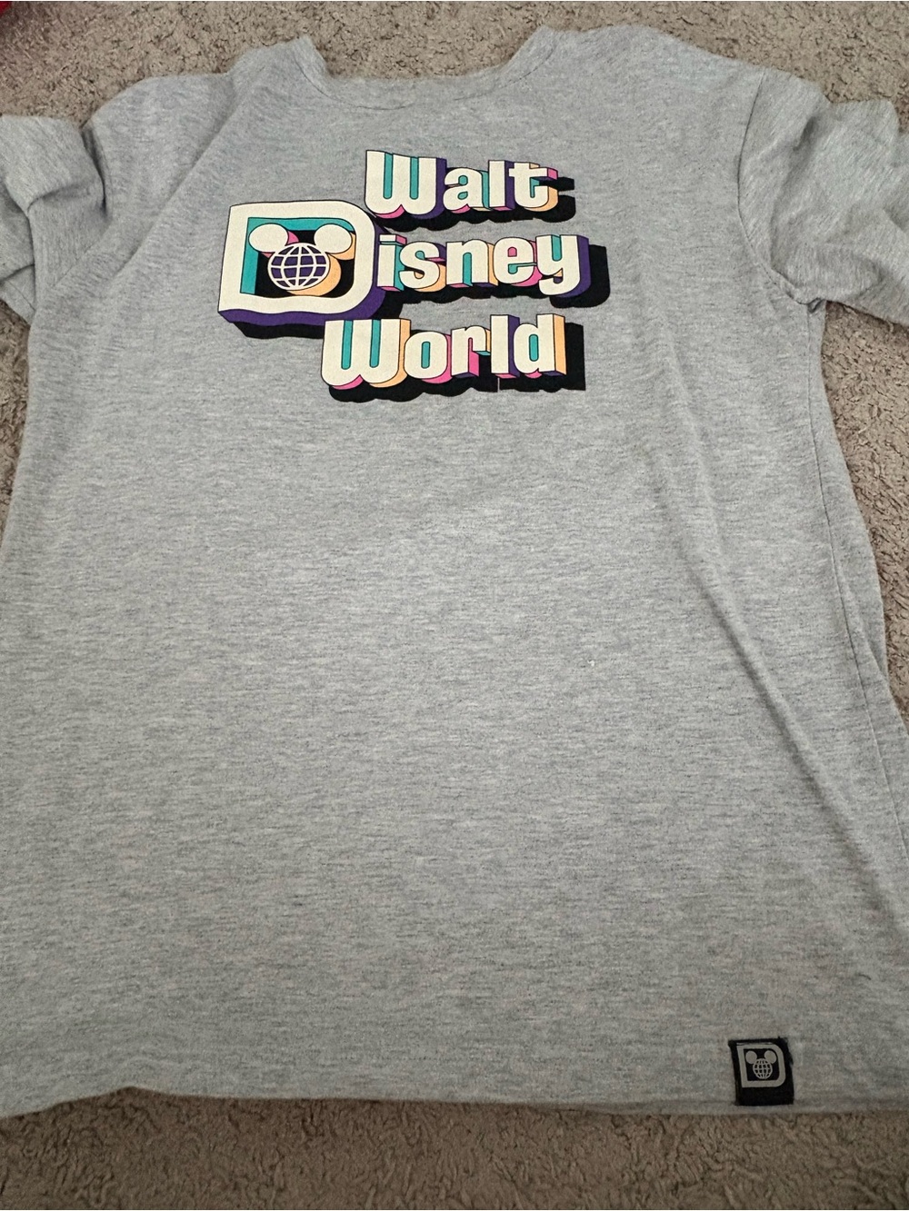Disney Gray Long Sleeve Tee with Retro Walt Disney World Logo